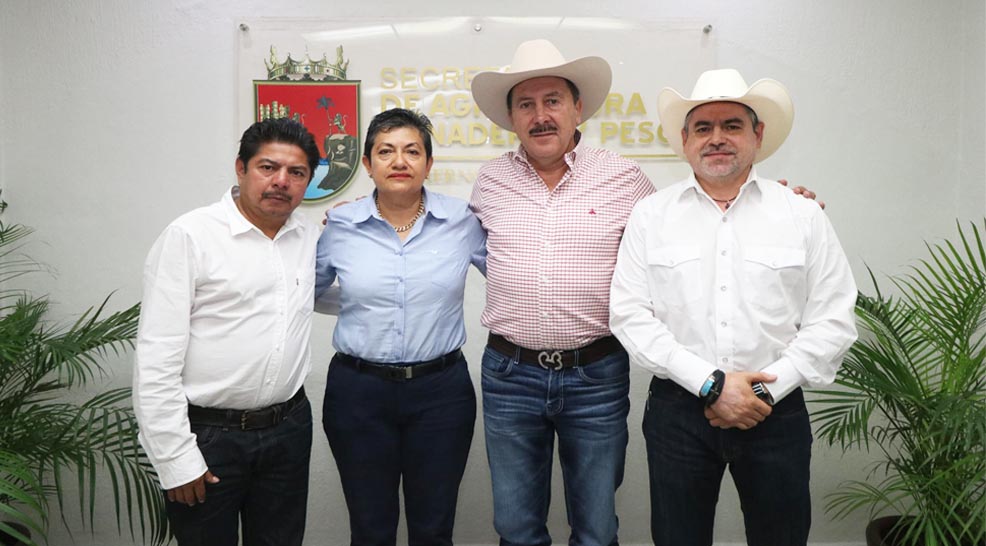 Primera reunión para definir estrategia y plan de
