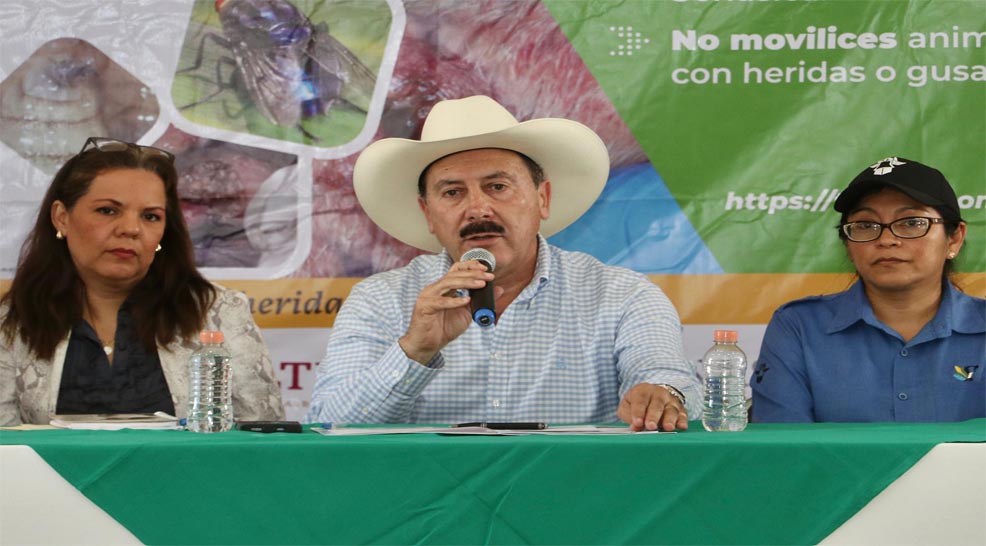Descarta SAGyP decomisos o cuarentenas por Gusano 