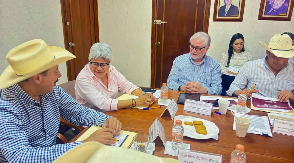 Forman Chiapas y Tabasco Grupo de Trabajo para ini