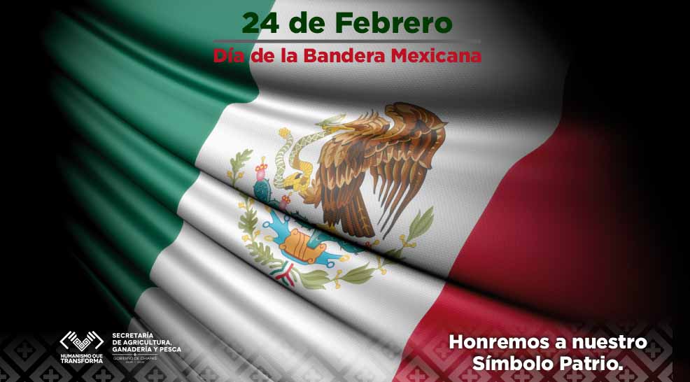 Día de la Bandera