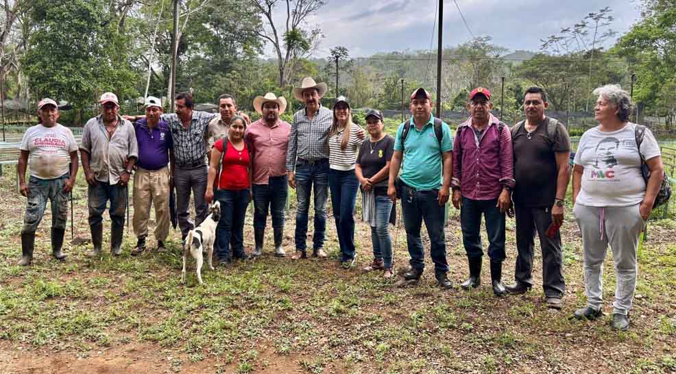 Tuve el gusto de visitar, el martes, el Vivero de 
