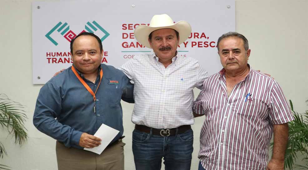 Chiapas impulsa la sanidad porcícola y fortalece 