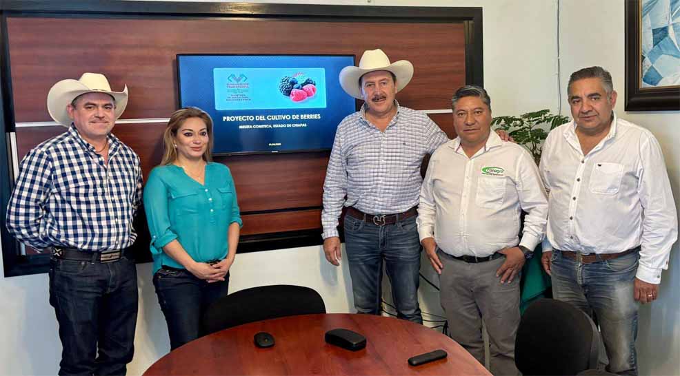 Comitán, motor del desarrollo agropecuario region