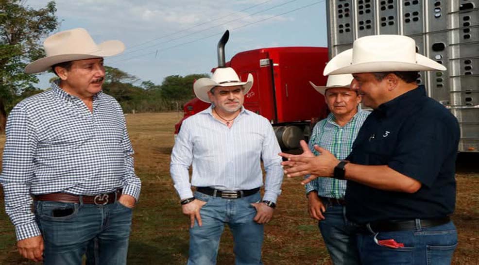 Chiapas consolida liderazgo en genética ganadera 