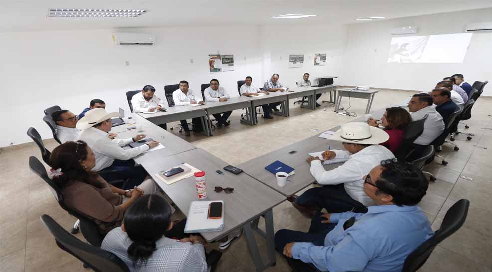 Chiapas refuerza estrategia ante brote de gusano b