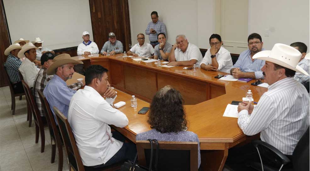 Imagen 2