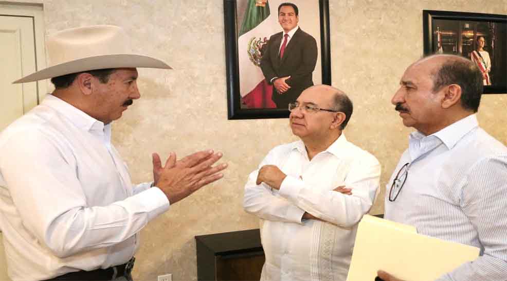Instalan en Chiapas el Sector Estratégico de Plan