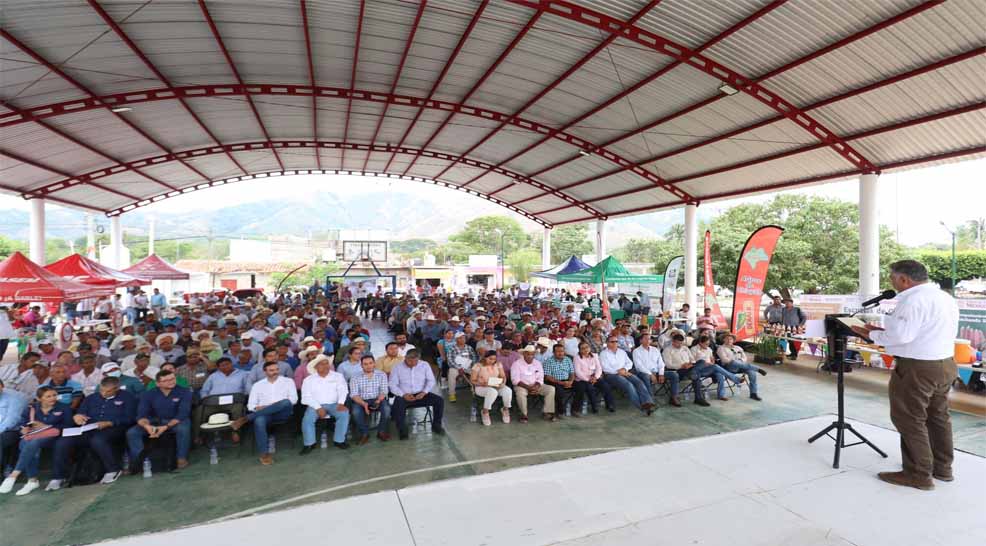 Chiapas se suma con fuerza al Plan Nacional del Ma