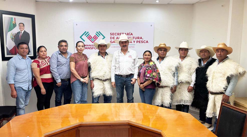 Florece la esperanza del campo chiapaneco