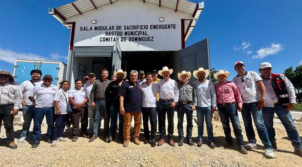Avanza modernización del rastro municipal de Comi