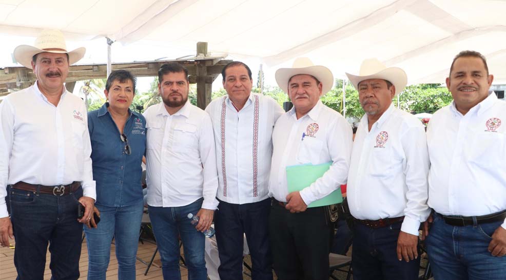 Imagen 2