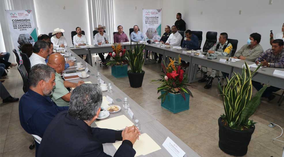 Imagen 2
