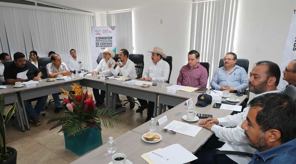 Imagen 3