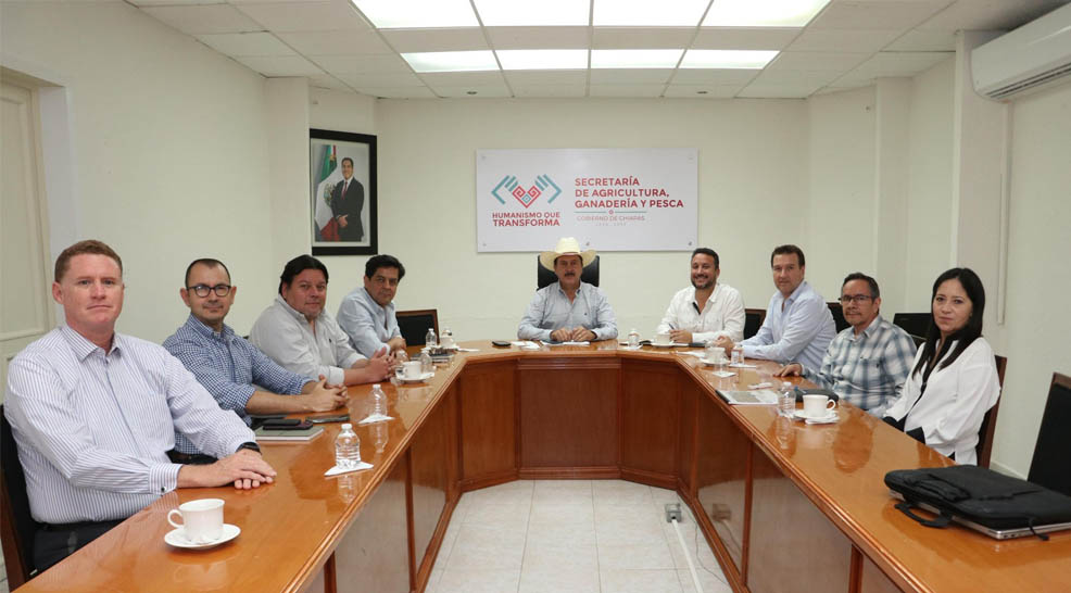 Imagen 2