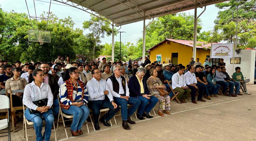 Imagen 2