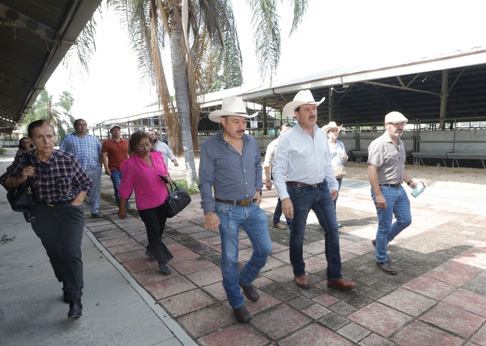 Las exposiciones ganaderas de la Feria Chiapas, qu
