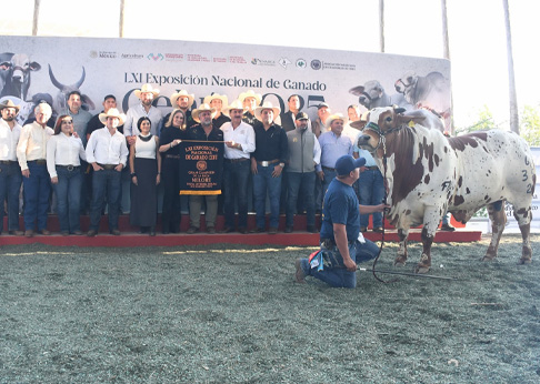 Tuxtla Gutiérrez.– El secretario de Agricultura